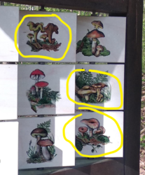 a9ad4eaa-1946-4fbb-902b-21caad2598da