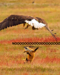 096a1ab2-5351-4296-8372-94ddb0c9163c