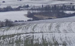 e8020317-137a-424f-8d61-6d0b3dfde444