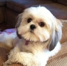 0b875ef1-da20-4d20-bc3a-0ff713a6dd22