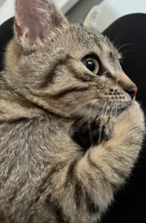 5765972f-b0cb-46fa-9cfb-efa51c8b63eb