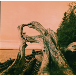 12bef7b4-a535-4af1-90ff-08cecfca6dbb