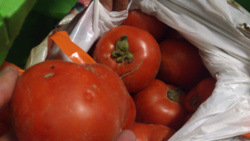 31afe87a-83f7-4e5a-946a-c81634679af0