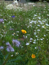 2d679086-0faf-4a0f-84ee-0f239bf01dd7