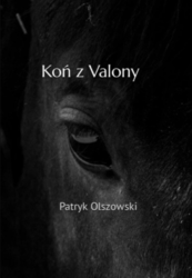 5e5200bc-6630-4155-9070-14c2e7837def