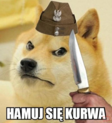 ddac9947-8e36-4a83-9257-67a7a032e027