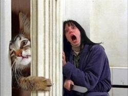 bd2261c9-c375-408a-b26d-79870fdecca5