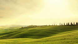 46c609ef-043c-49d9-8fe5-0b88de902a92