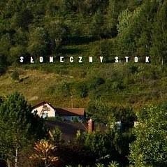 4101f30c-d846-4e4e-9420-024782346747