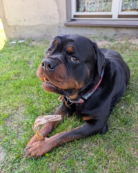 14181d42-31d9-4cea-bb92-59f55d98b66c