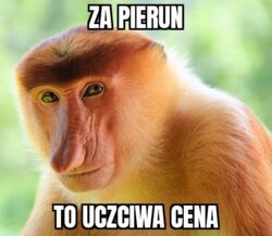 13da96f0-9069-4faa-aa8d-6ec55f26f84d