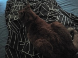 03199da6-4fd7-43aa-aacd-b0c303b5cc2e