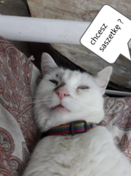 b7c85fdb-6ea2-41af-9d01-6459af26fd94