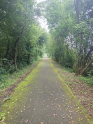 8d40590b-d9d1-4f7d-98ae-251e35da5197