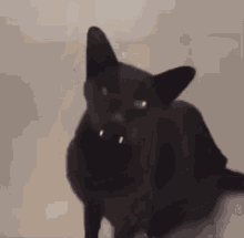 14d9102f-29c3-4207-a523-bf4be35afdc8