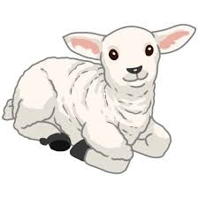 85c17728-c5e2-4e52-96eb-6efcd093798f