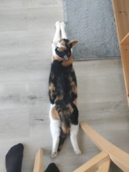 bc5c410e-7be0-4566-a532-ee7c8de2b81b