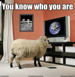 c3f758a2-10f2-41c3-9dcb-cceef3b46cc4