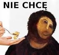 8d6843ba-1df0-4448-b025-4dc467265d95