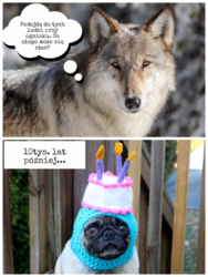 da32ef1b-626d-42fa-945c-23cebfe79f7a