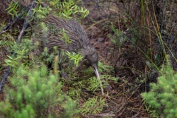 d9247224-845e-4eb9-adc3-4c77a7ff6110