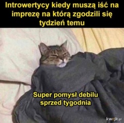 e8614b59-c362-43c3-9a07-b621008862dd