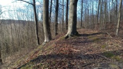 93fc117b-3e6b-4ce8-b206-117a1690f723