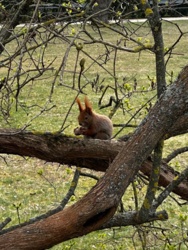 ea315c2f-9b91-4ec2-a6f5-05b7d76f6681