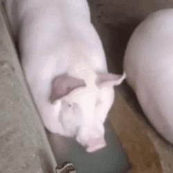 a592e535-2966-4c24-a750-bd194b0b3406