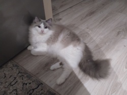 3da1510d-0383-41e7-b726-c33eca6b2ff8