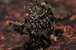 36b66d33-b0d4-4cc5-90b9-3cfe97b35846