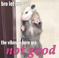 089d81f3-be97-4e2c-92fe-c939610dea15