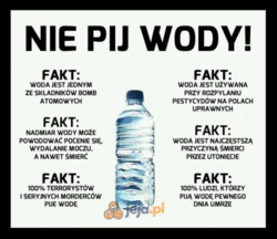 a1b25433-9f30-4aaf-bde4-b9f003004967