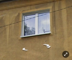 d0f28111-5c21-469e-bcef-4f6db173f56d