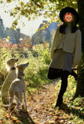 22fe7c80-16b1-4d98-b45b-a3bc185589cf