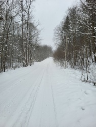 b18062b3-b8c3-4bc6-865b-a6d891276676