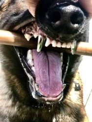 bf3f2525-de6e-42d6-9b86-1cfbeff2dbd4