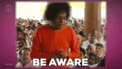 c818a885-9851-4c76-80c0-8ef22fdaf398