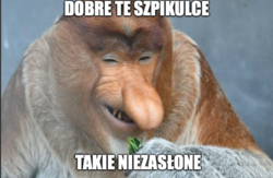 9064aaf1-b769-4fd0-8a86-2aed72826d9a