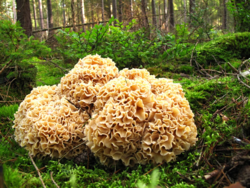 e60d34c2-81bb-422d-954e-93834052dfd6