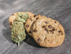 b2c03910-05ab-4994-99d2-a36e146eb01e