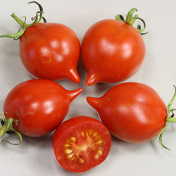 804f2f85-bb71-4860-9131-61aea5cf21af