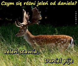 24c73fa1-568b-4814-9754-96f16f0d925e