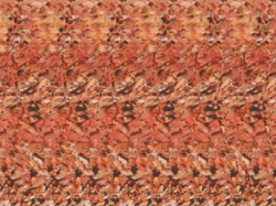 9428de78-fd2e-43e0-9478-73579d337911