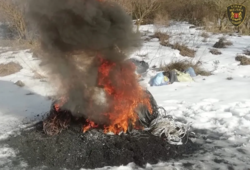 3766c968-bcdf-4c34-a4d4-2638cf7a47c9