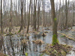 59917426-d54c-4aa3-8df5-43af3ad890f8