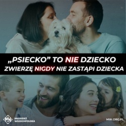 5335afc9-5613-4301-9413-1714e0510c88