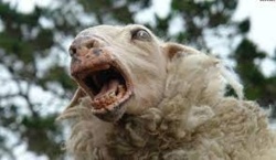 19ad1b2c-1707-4996-8162-3597c88bb828