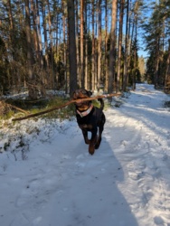 f2c52d2f-d44c-41f4-b00c-6e0a411cffd1