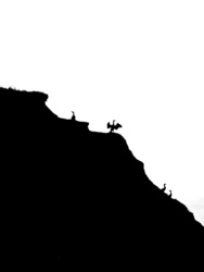 7160bc3b-9023-4b87-a694-b39262d8af51